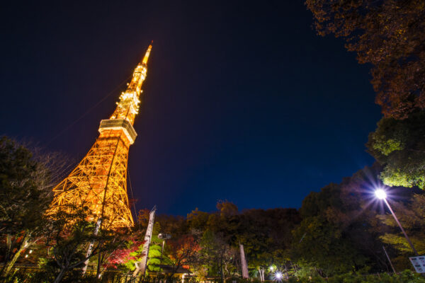 pixta_東京タワー_M